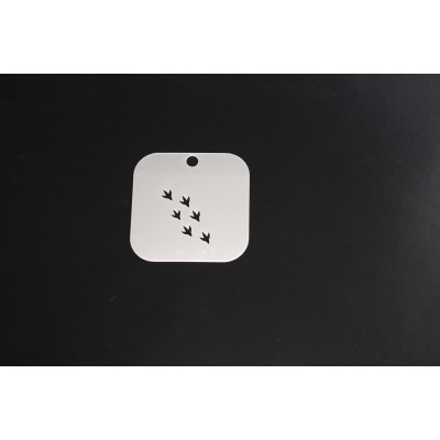 2175 Dinosaur Prints Re-Usable Stencil