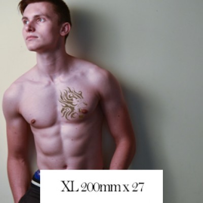 Re-usable Stencils XL 200mm x 27